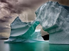 Leading Tickles Iceberg